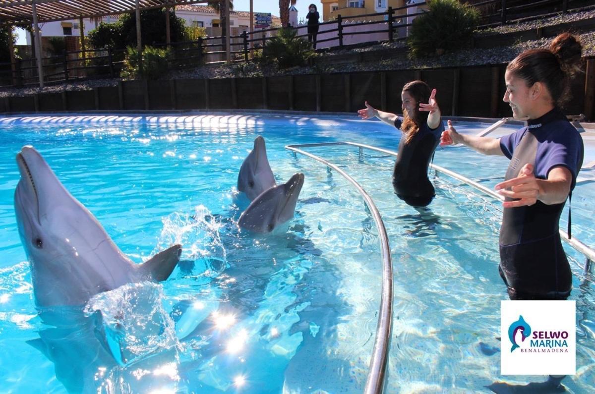 Victoria Luxury Beachfront Apartment In Benalmadena Costa エクステリア 写真